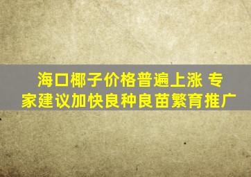 海口椰子价格普遍上涨 专家建议加快良种良苗繁育推广